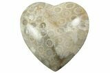 1.6" Fossil Coral Heart From Indonesia - Photo 3
